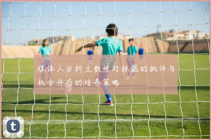 媒体人分析主教练对林葳的批评与机会并存的培养策略